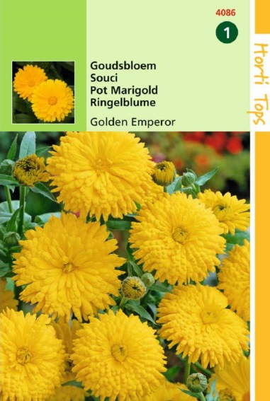 Pot Marigold Golden Emperor (Calendula) 300 seeds